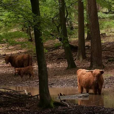 Bed & Breakfast Aan De Koningsmuur 3*