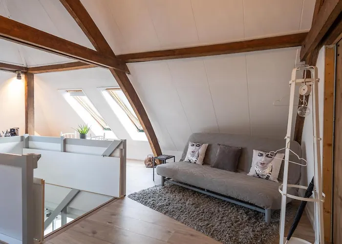 Aan De Koningsmuur Dieren