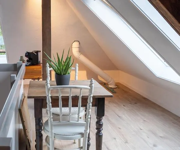 Aan De Koningsmuur 3* Dieren